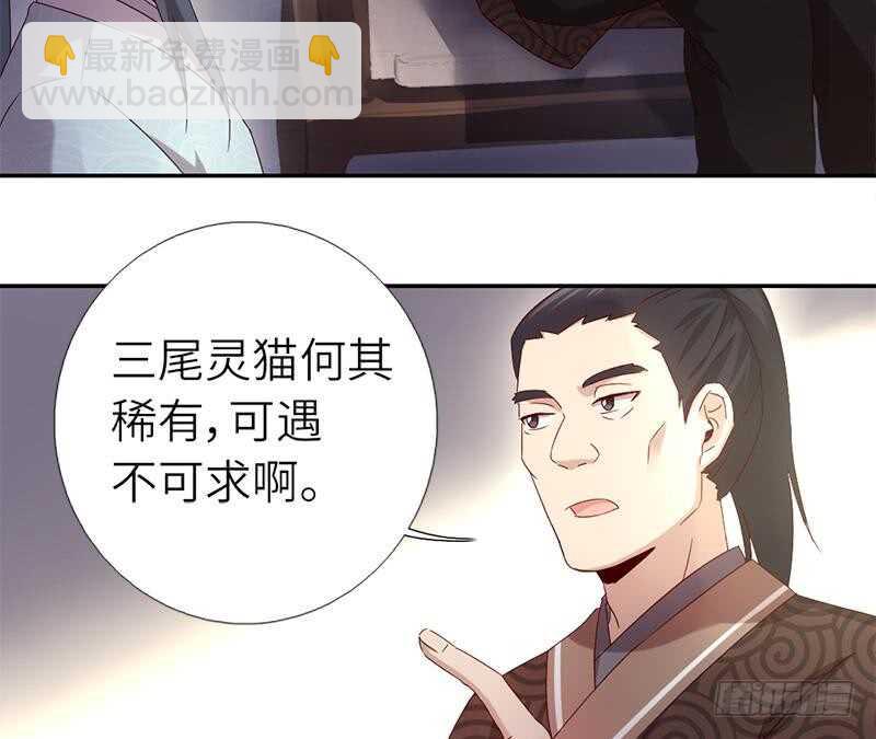 第52话 三尾灵猫20