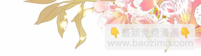 第41话146