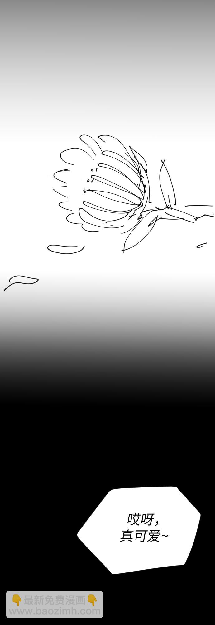 【免费】后记28