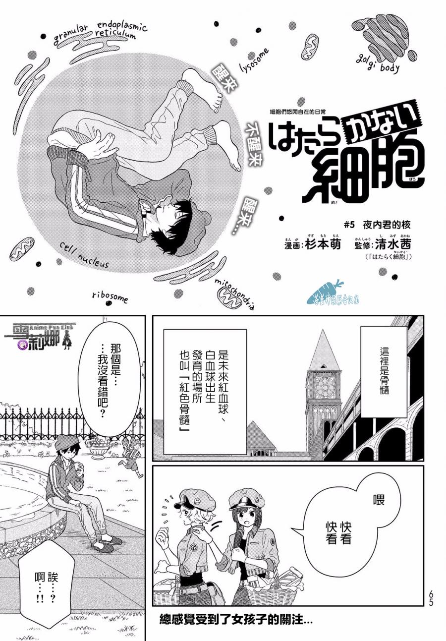 第5话 细胞们悠闲自在的日常0