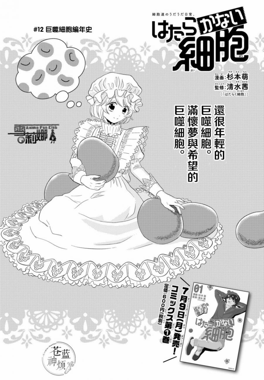 第12话 锯齿细胞编年史2