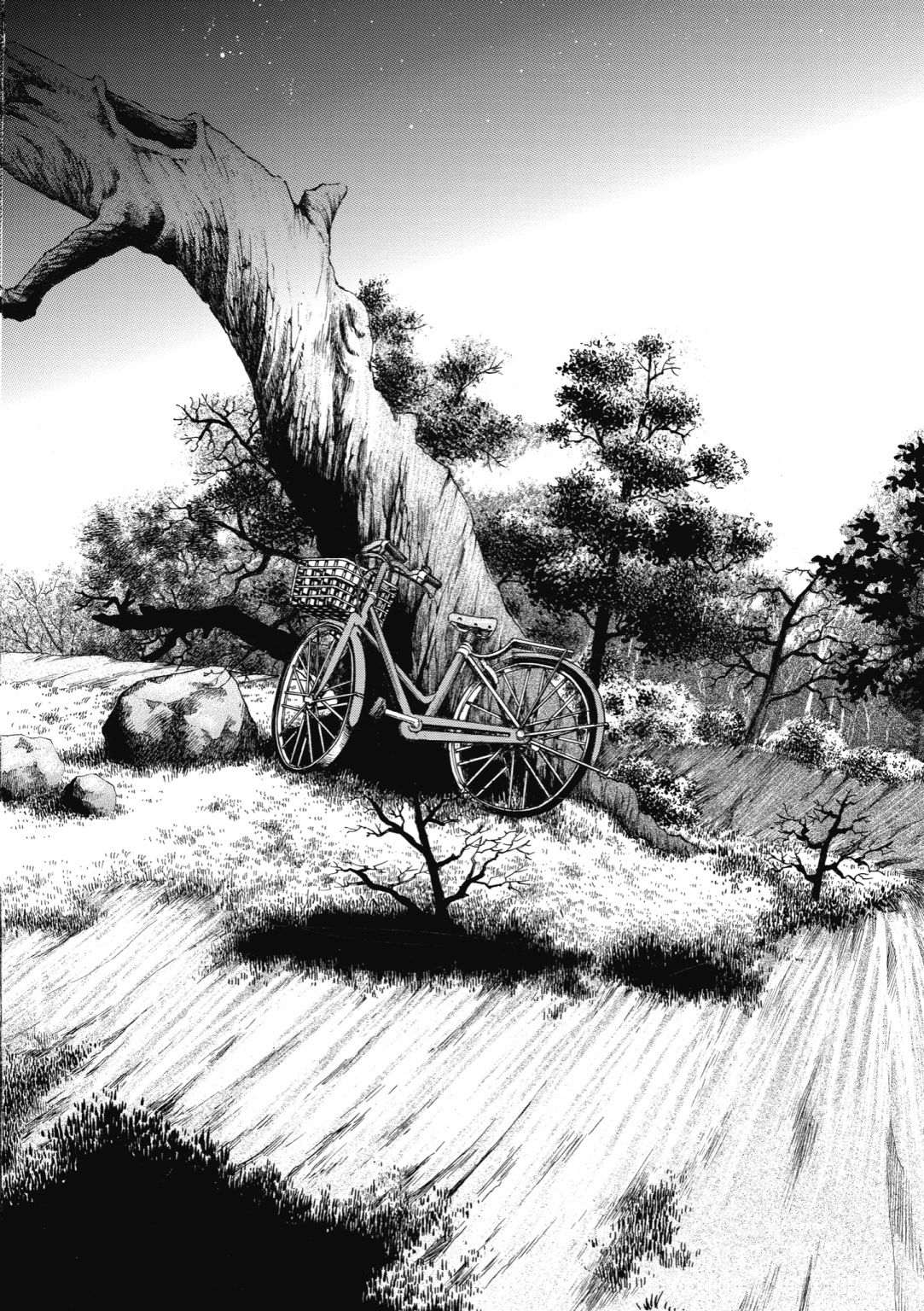 第01卷181