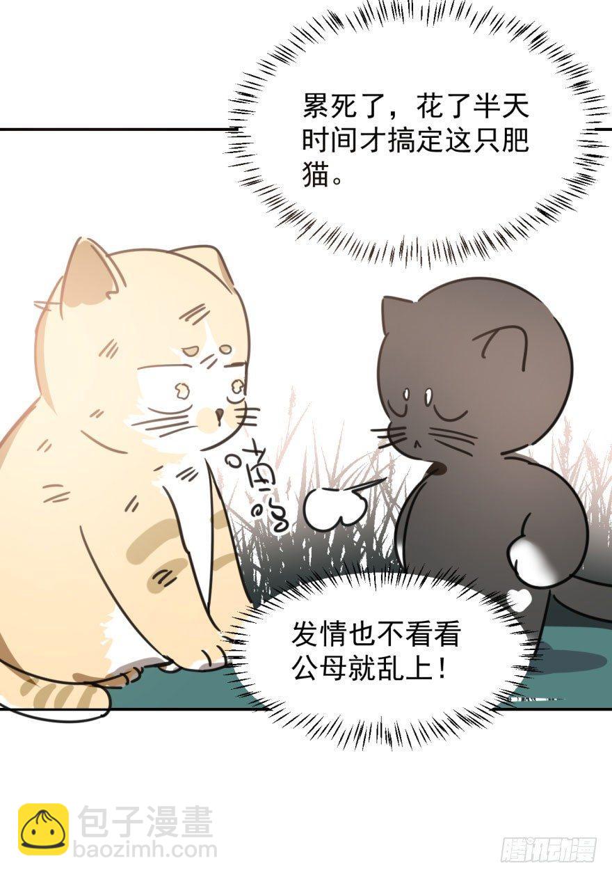 第二十五话 触碰逆鳞44