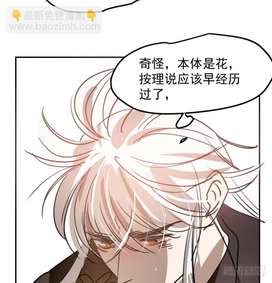 第四十二话 花卉养护29