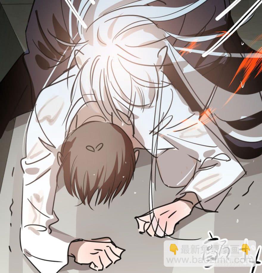 第四十二话 花卉养护56