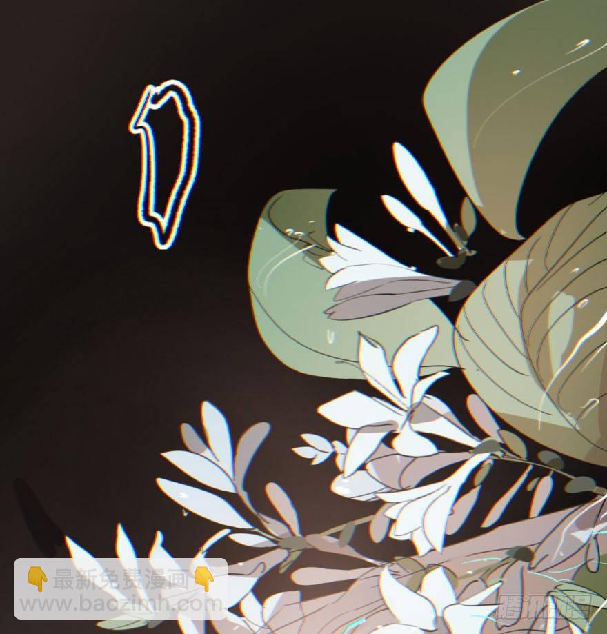 第四十二话 花卉养护68