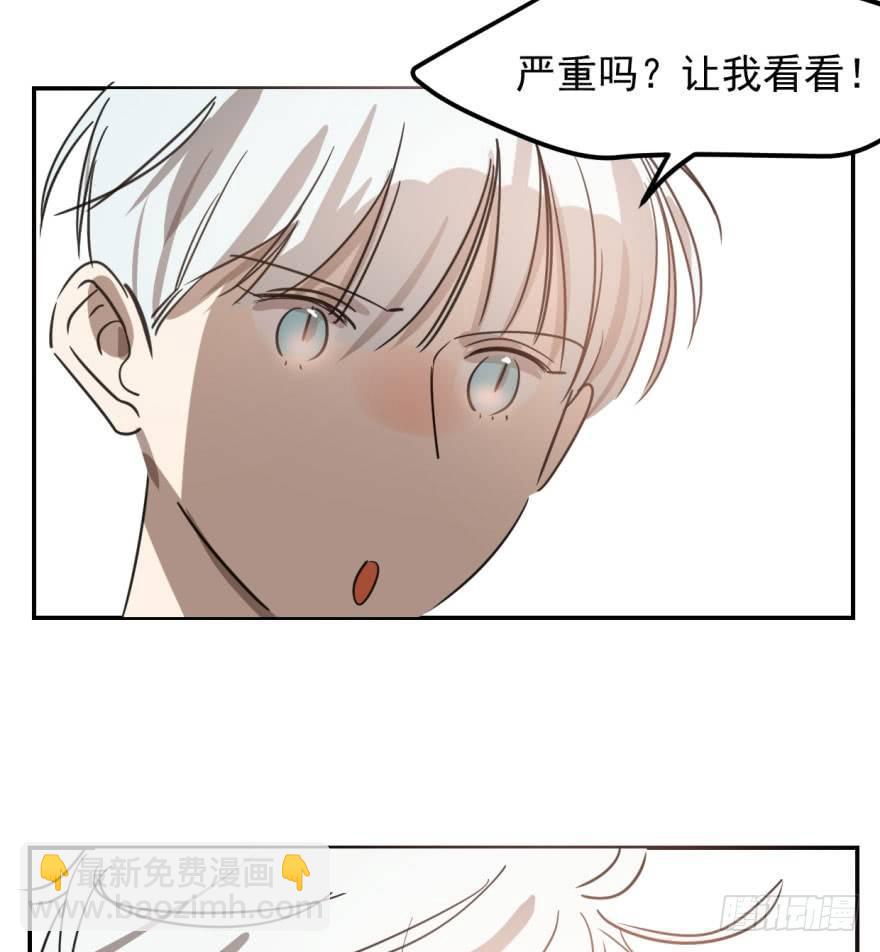 第四十二话 花卉养护76