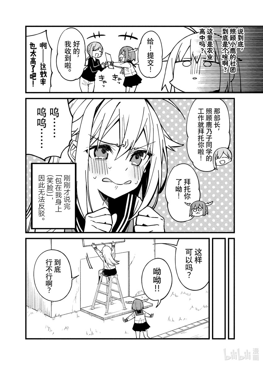 5 虎视糖看见了！13