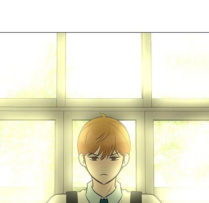 44117