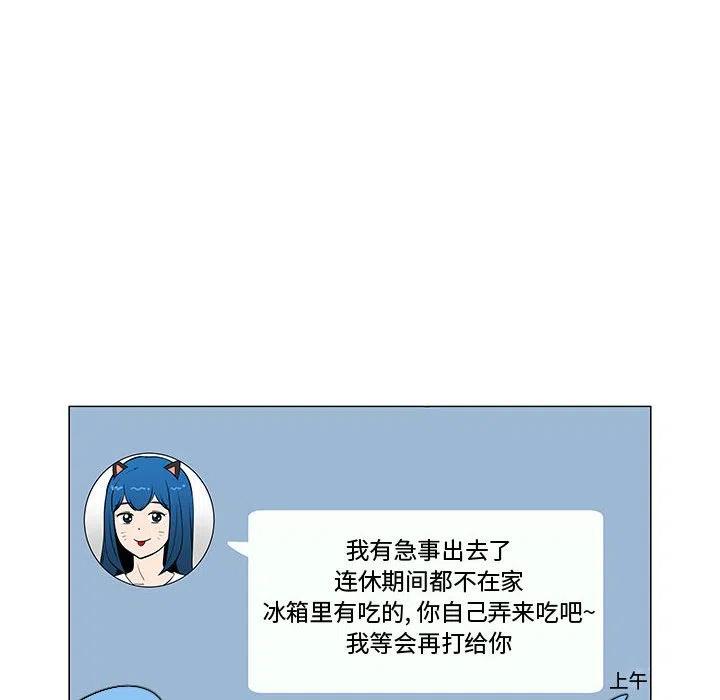 6081