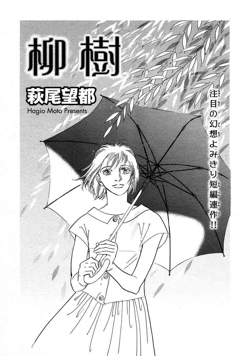 油菜花0