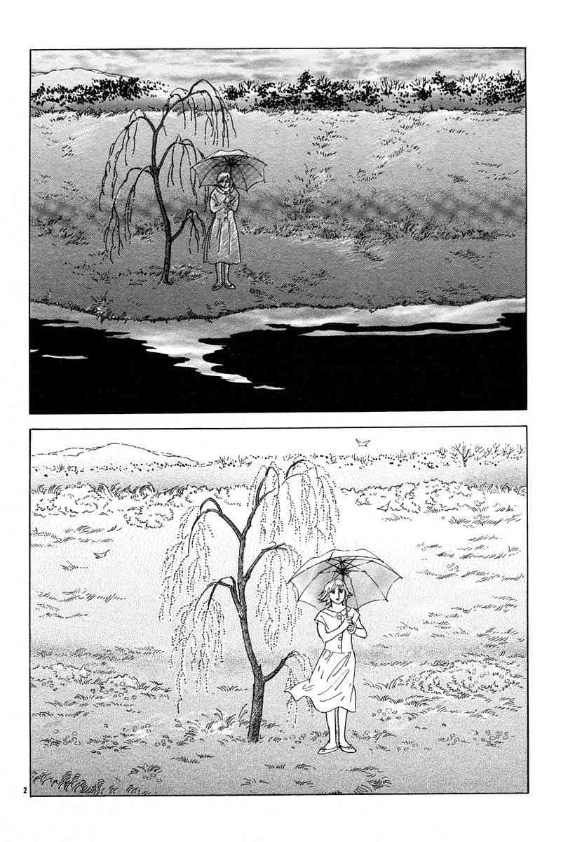 油菜花1