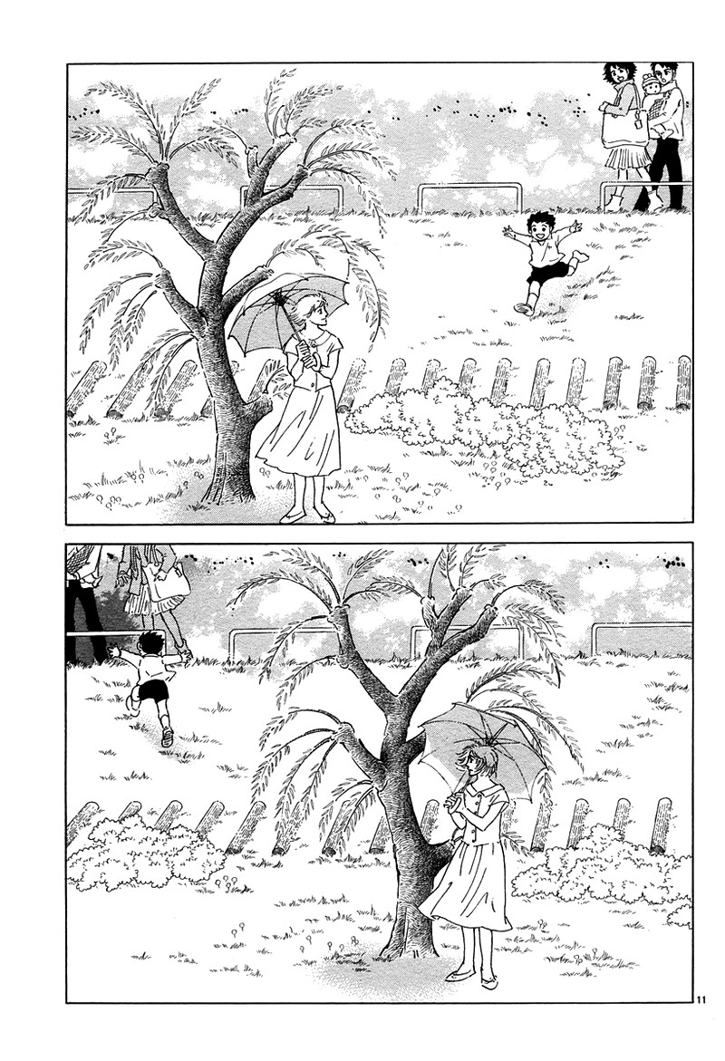 油菜花10
