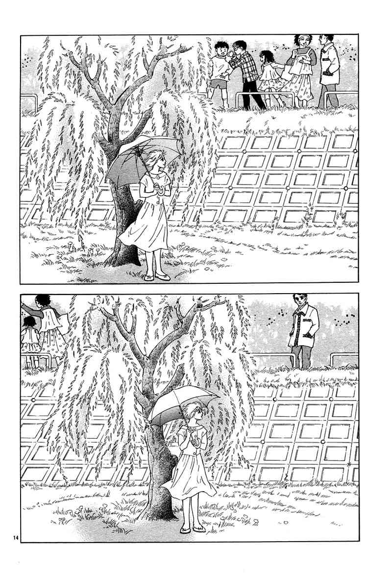 油菜花13