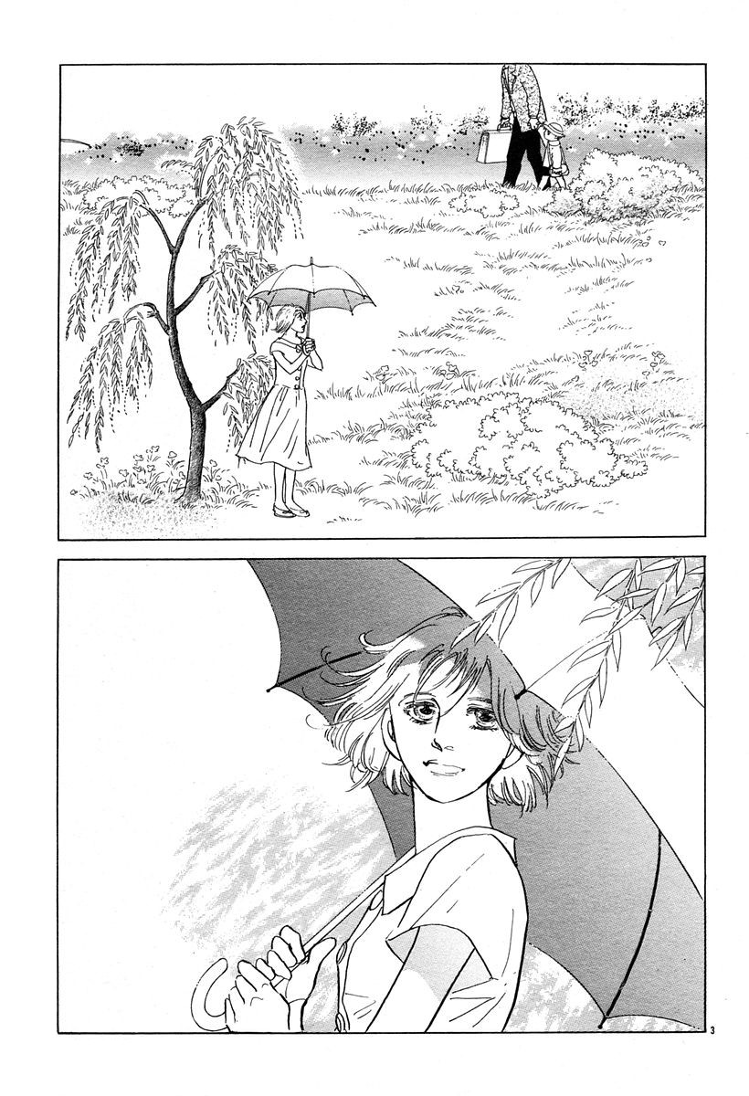 油菜花2