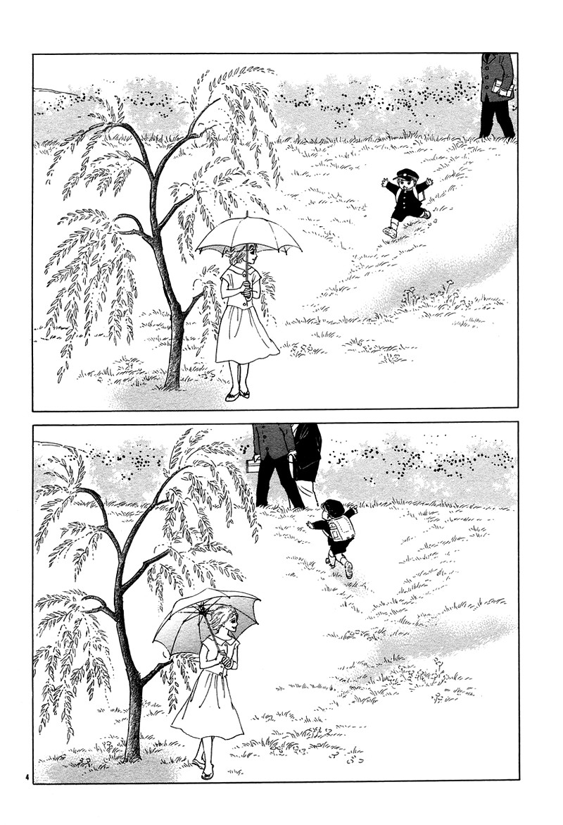 油菜花3