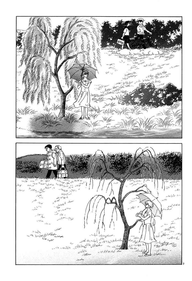 油菜花6