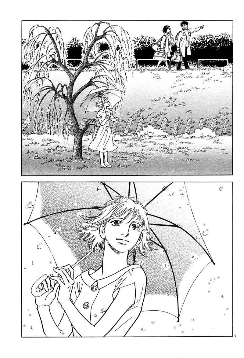 油菜花8