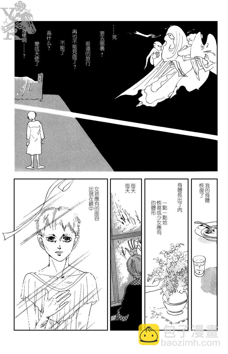 半神12