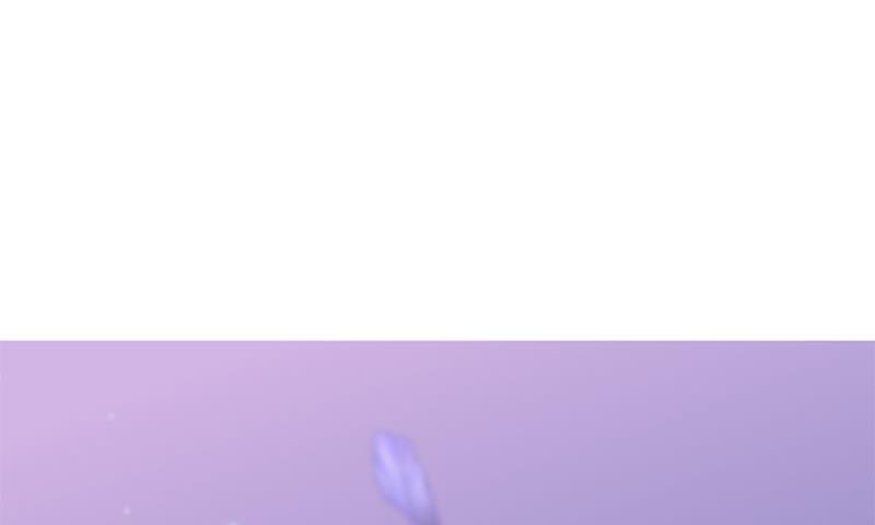 第三季 第234话 想太多61