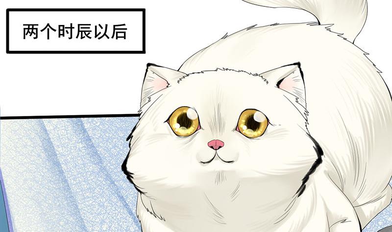 第三季 第241话 算计40