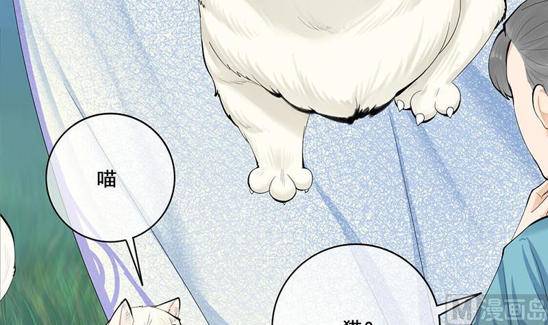 第三季 第241话 算计41