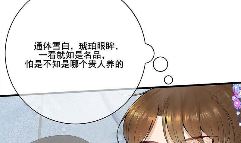 第三季 第241话 算计46