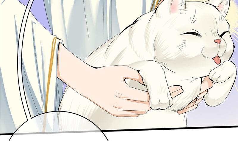 第三季 第241话 算计49