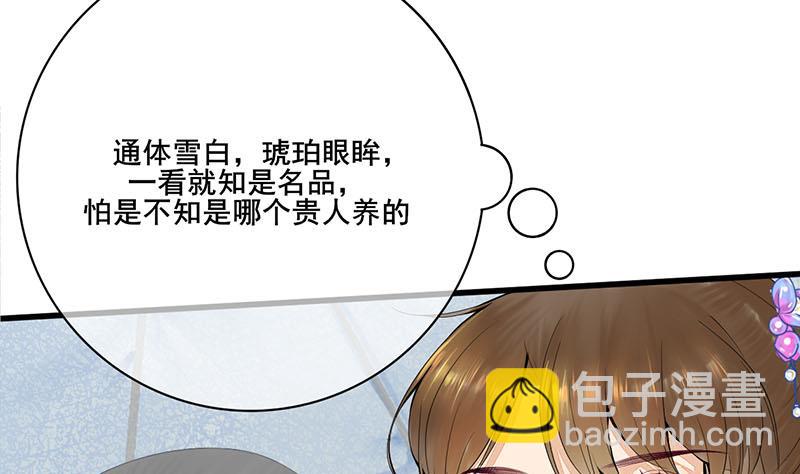 第三季 第241话 算计50