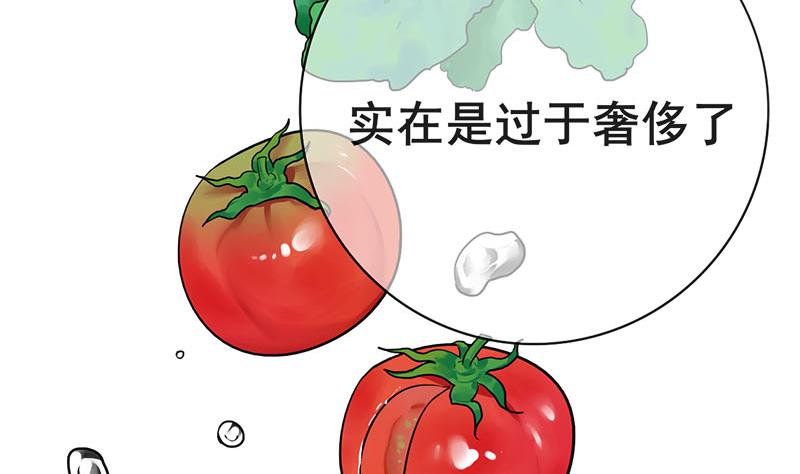 第三季 第291话 新母亲10