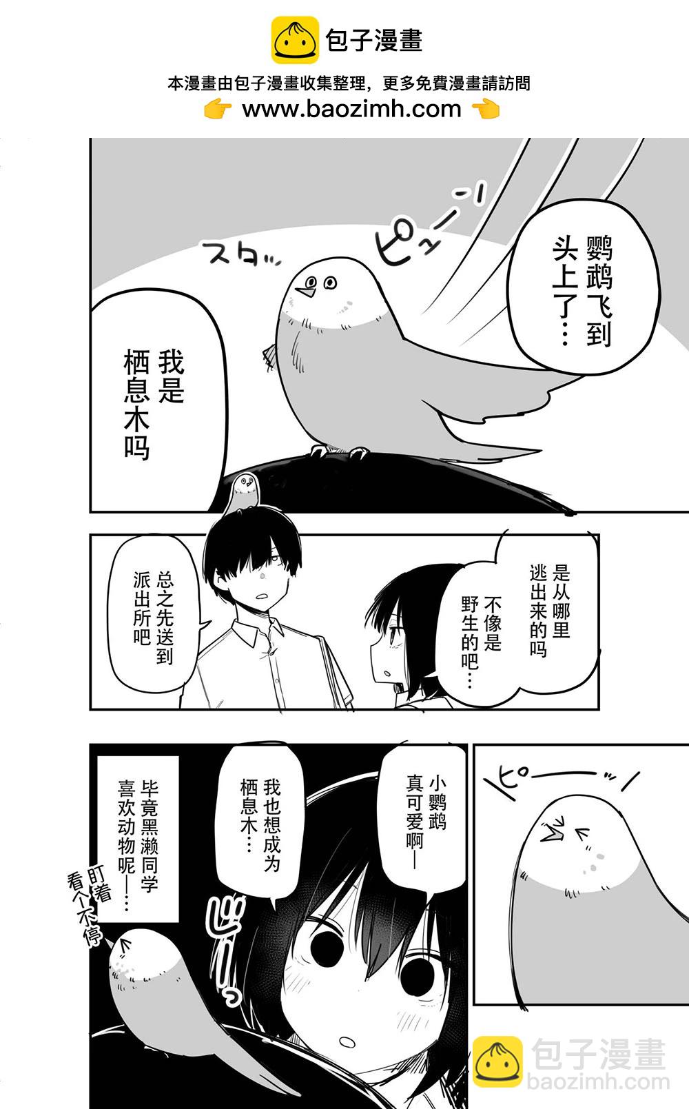 沉默寡言的女孩 31