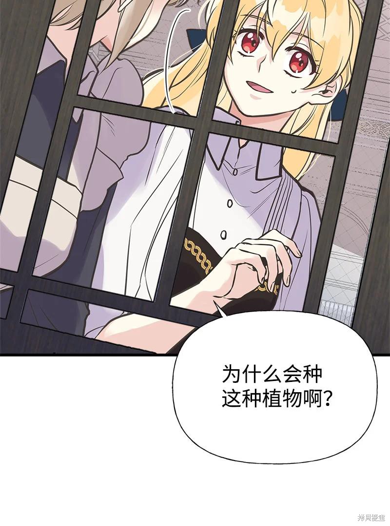 第36话37