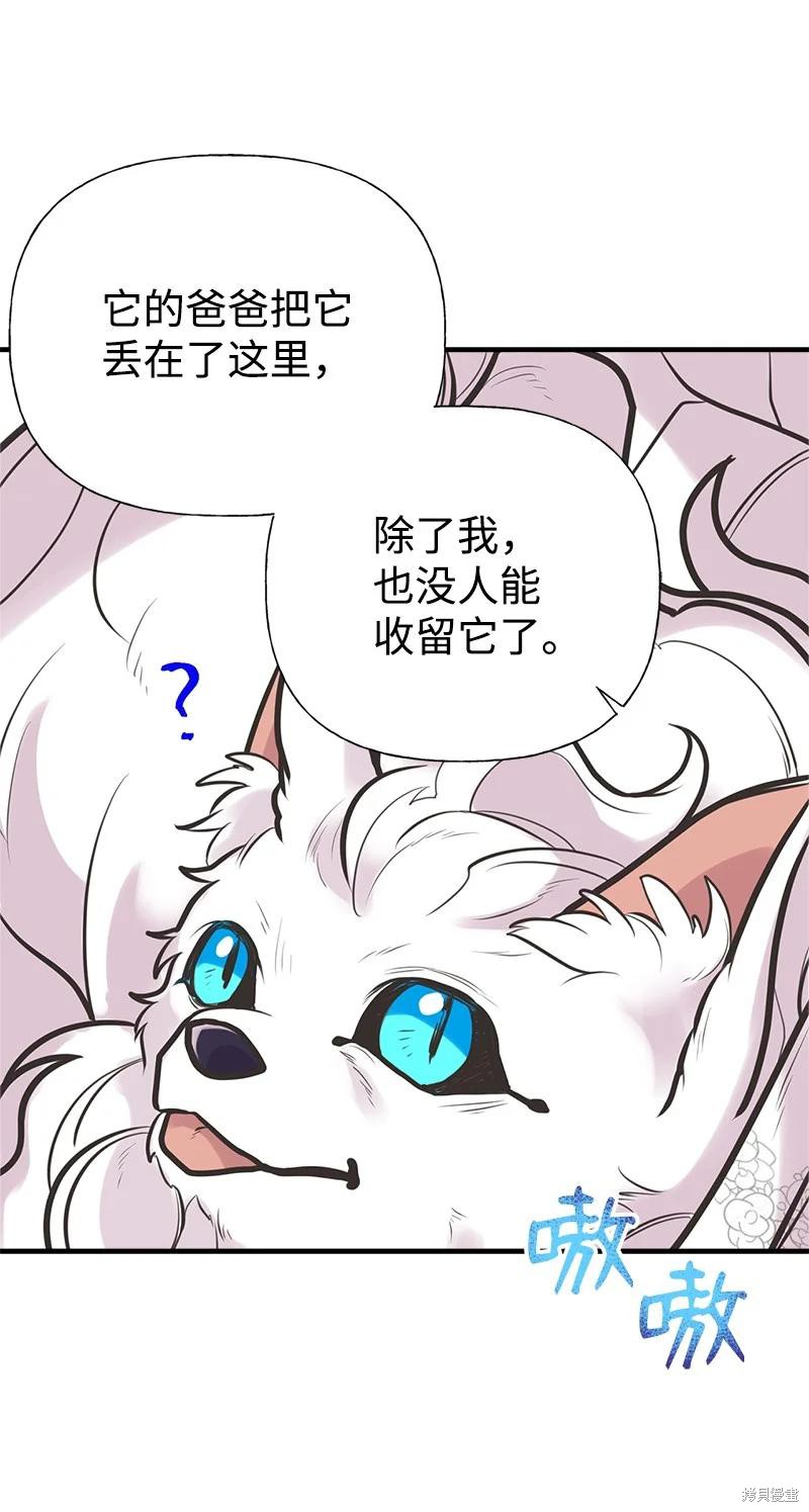 第52话18