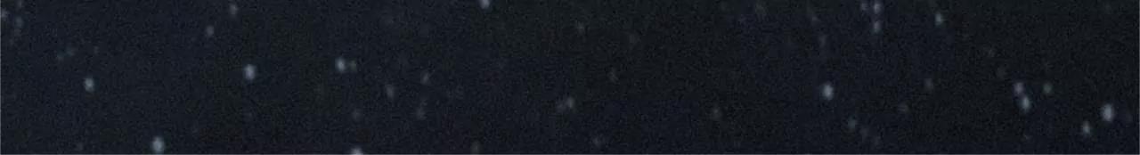 他的抉择36