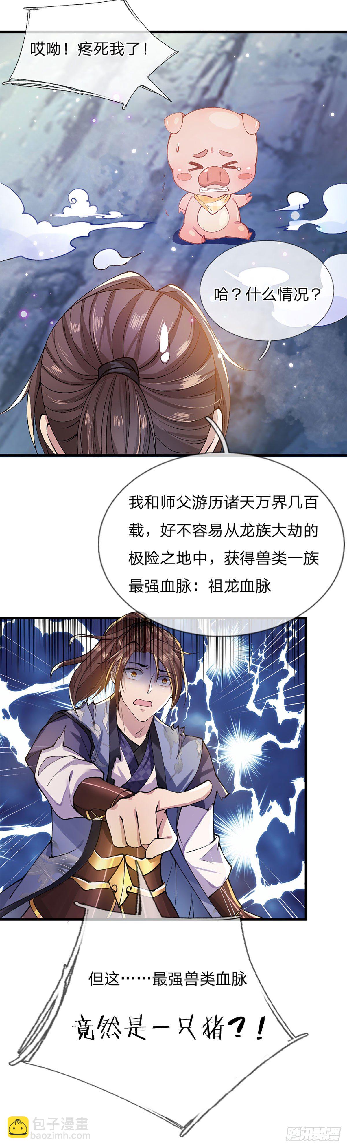 第1话 我的灵兽竟然是头猪47