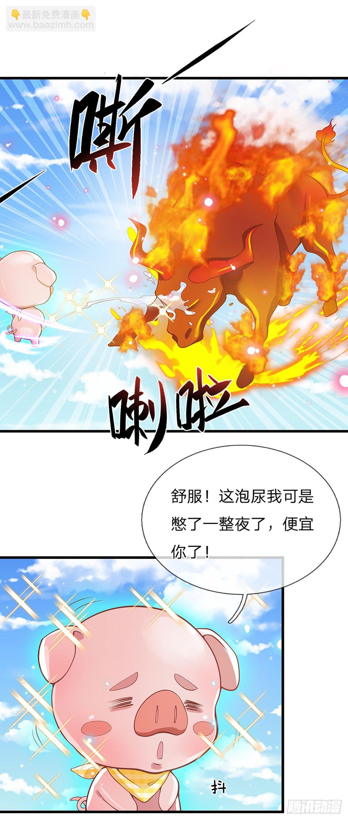 3话 这特码是什么流氓猪22