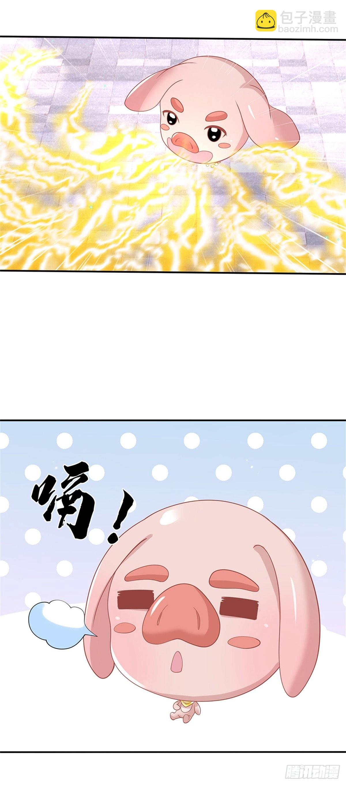 第178话 大变活猪28
