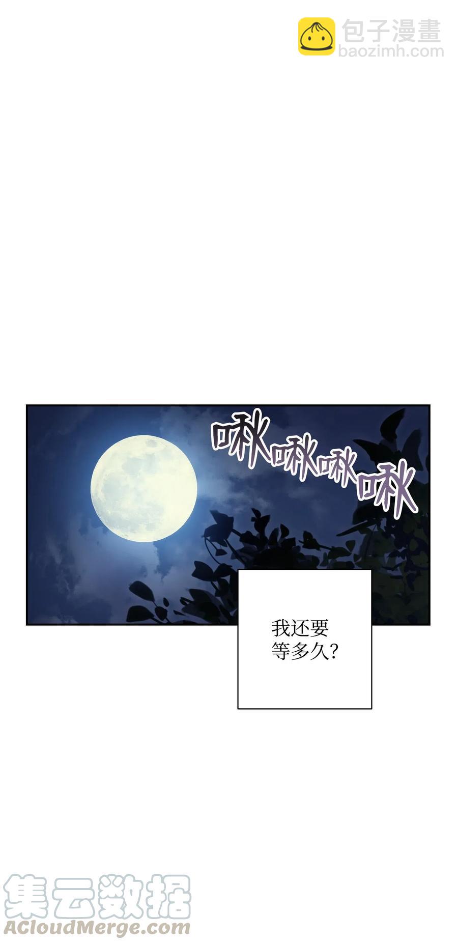 71 星光魅狐28