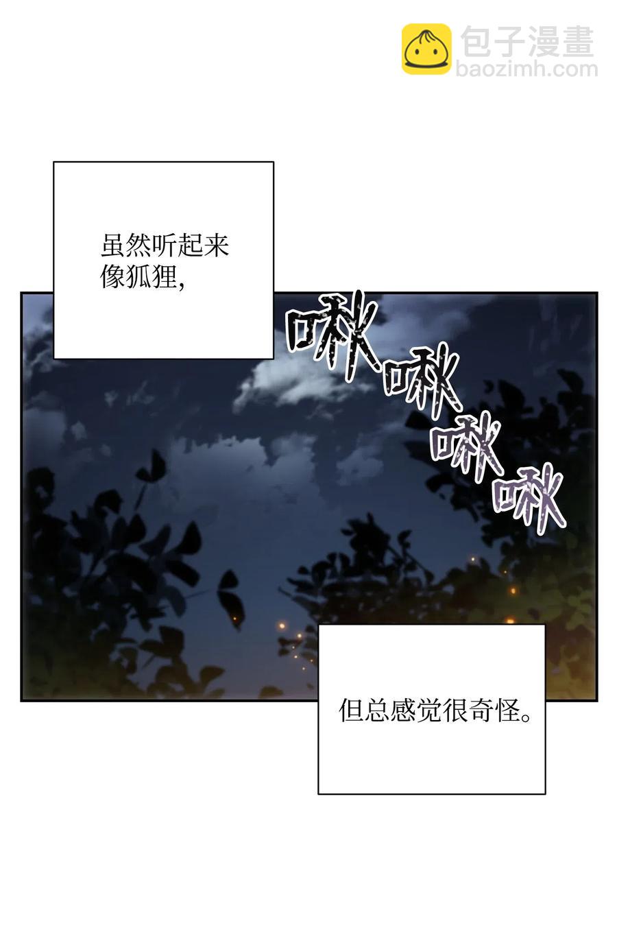 71 星光魅狐33