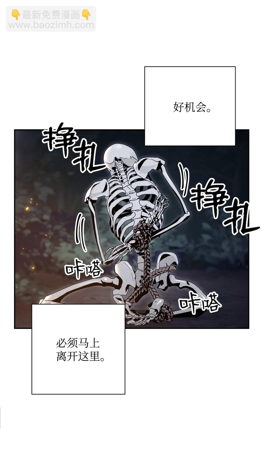 71 星光魅狐51