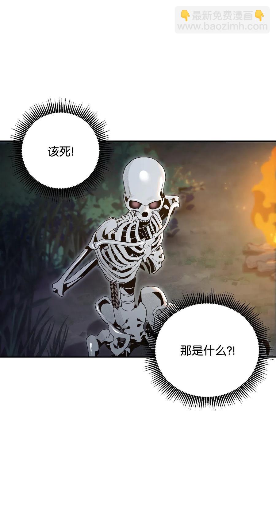71 星光魅狐67