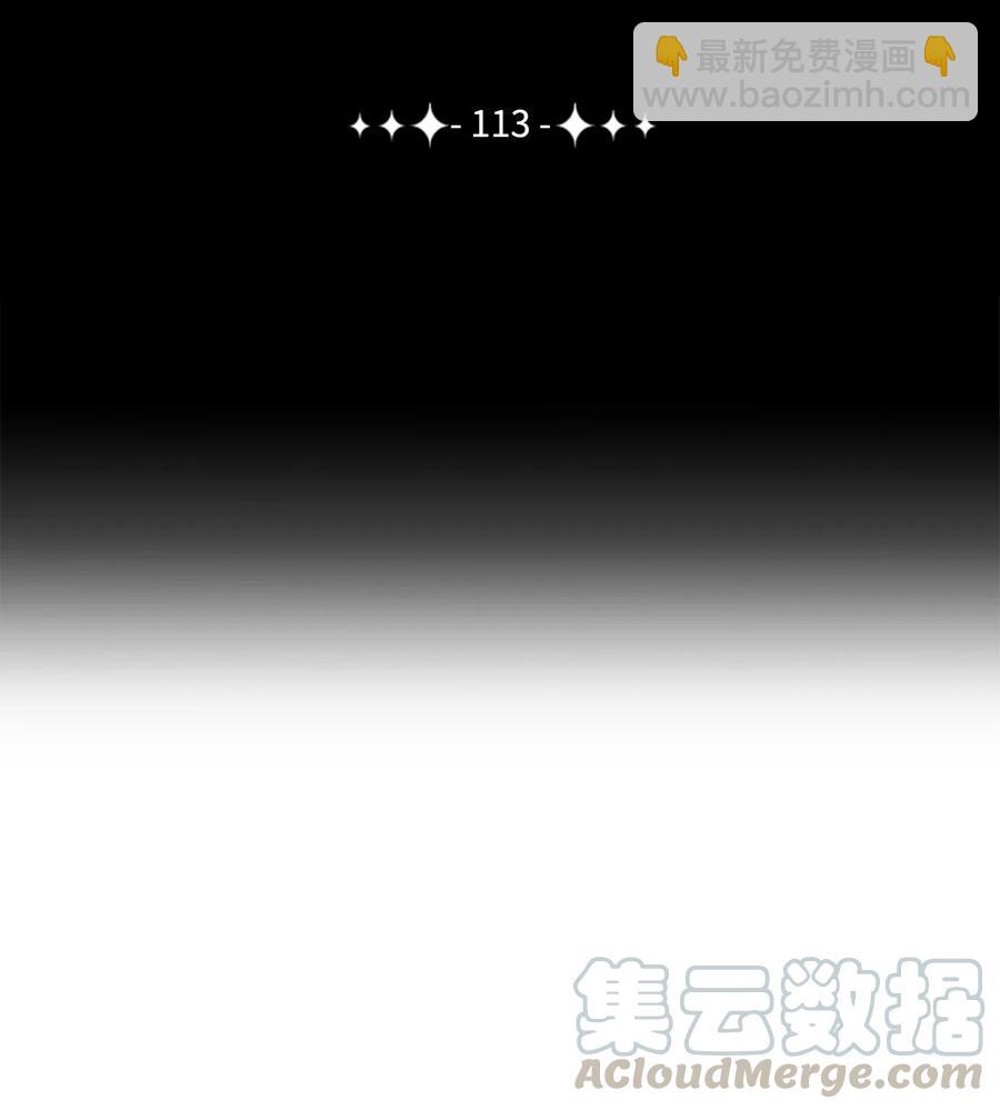 113 未知代码12
