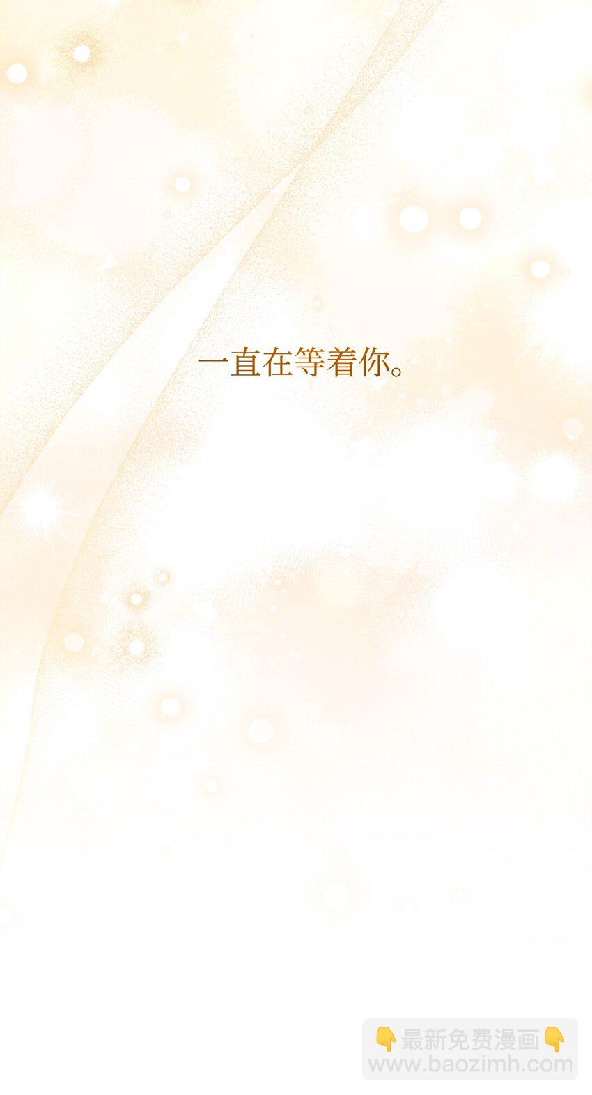 264 准备就绪102