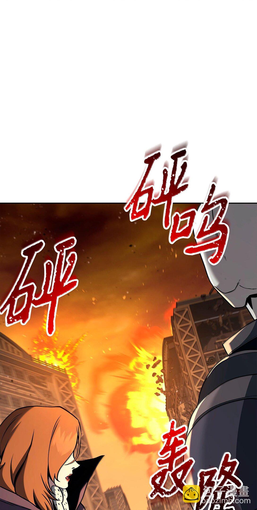 295 自毁113