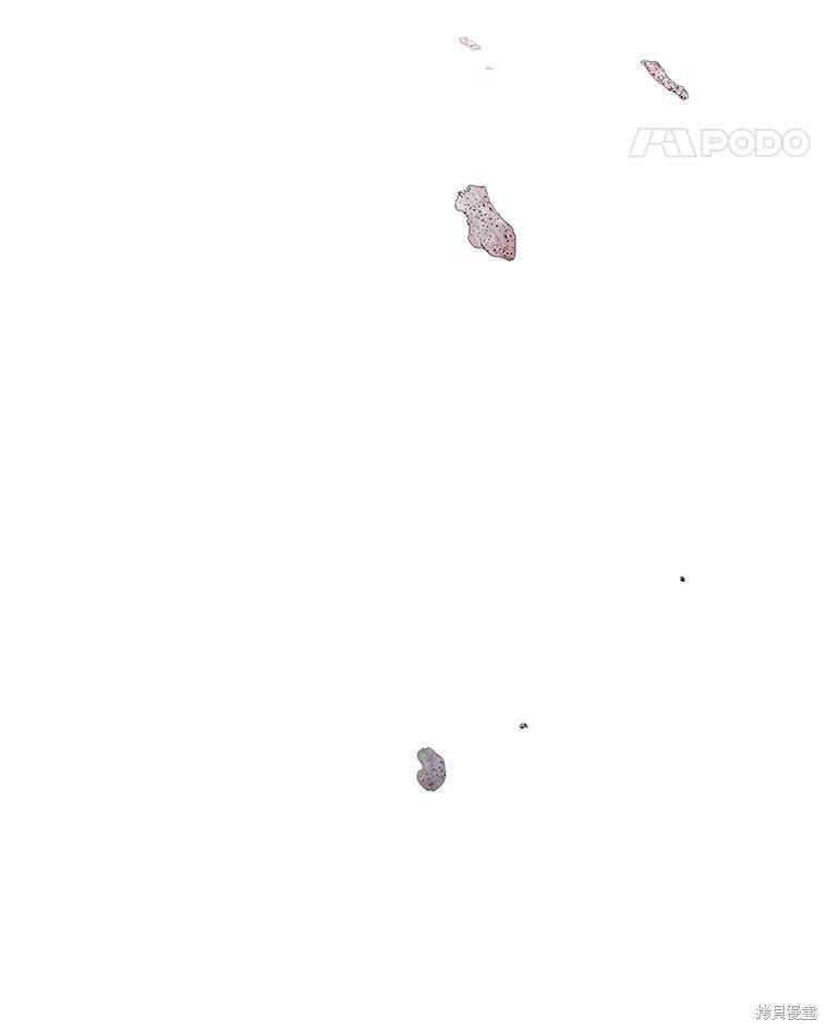 第64话91