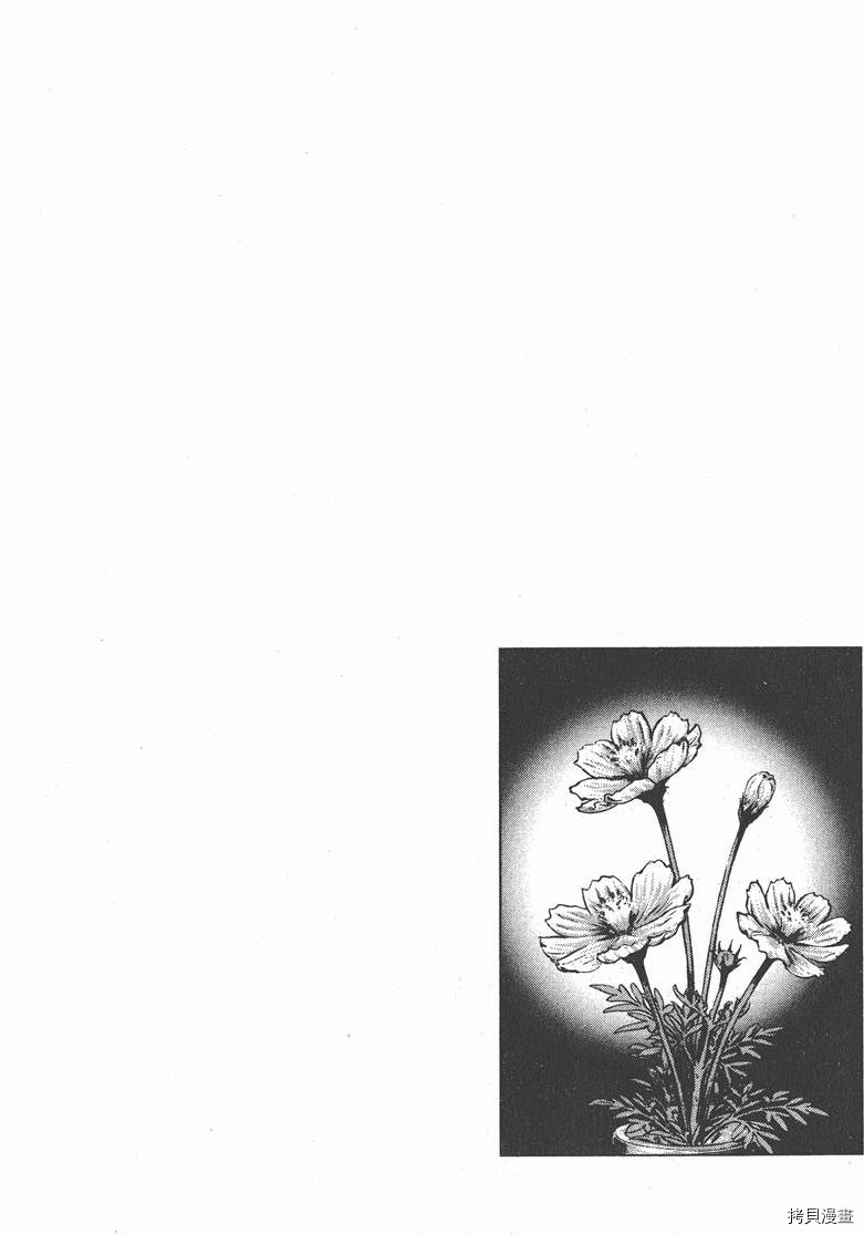 第25卷156