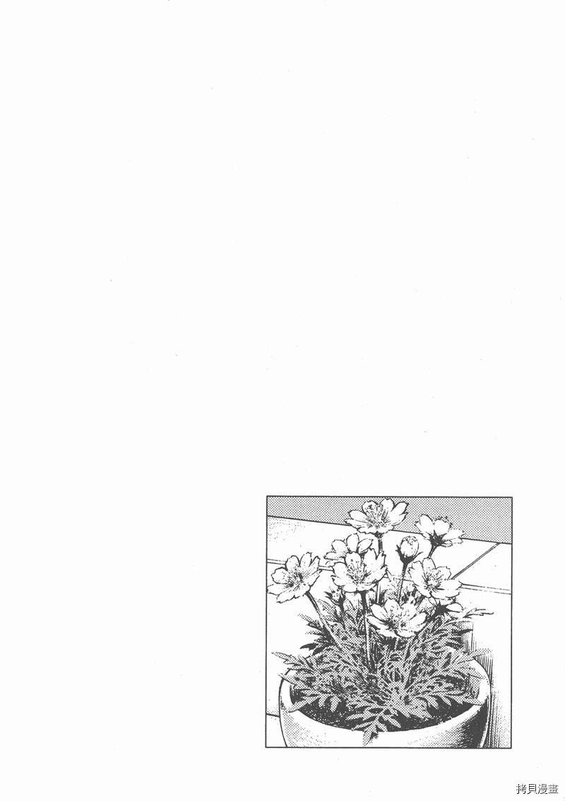 第26卷5