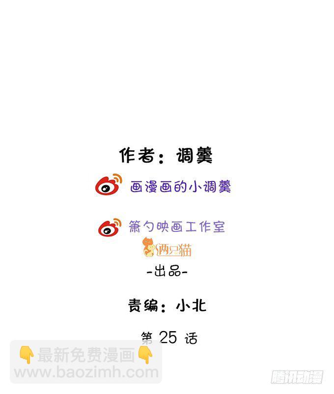 小猫咪，我们又见面了~1