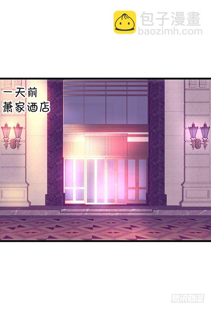 小猫咪，我们又见面了~2
