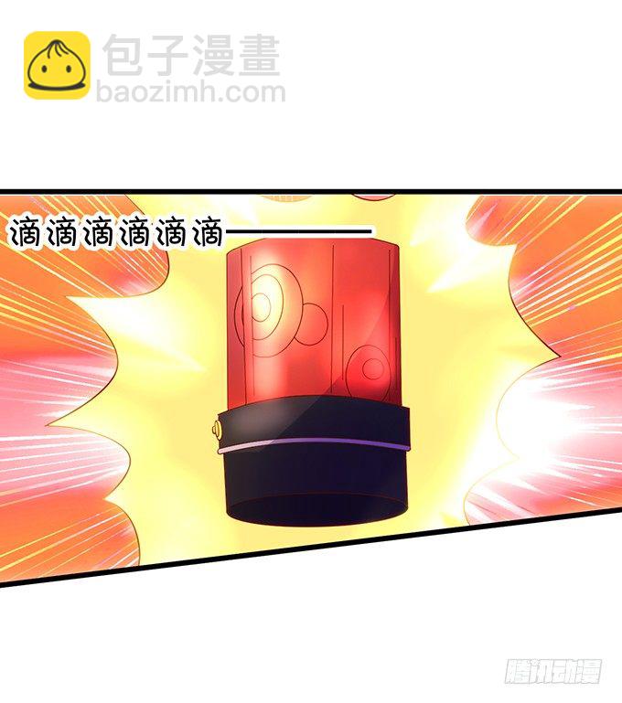 小猫咪，我们又见面了~32